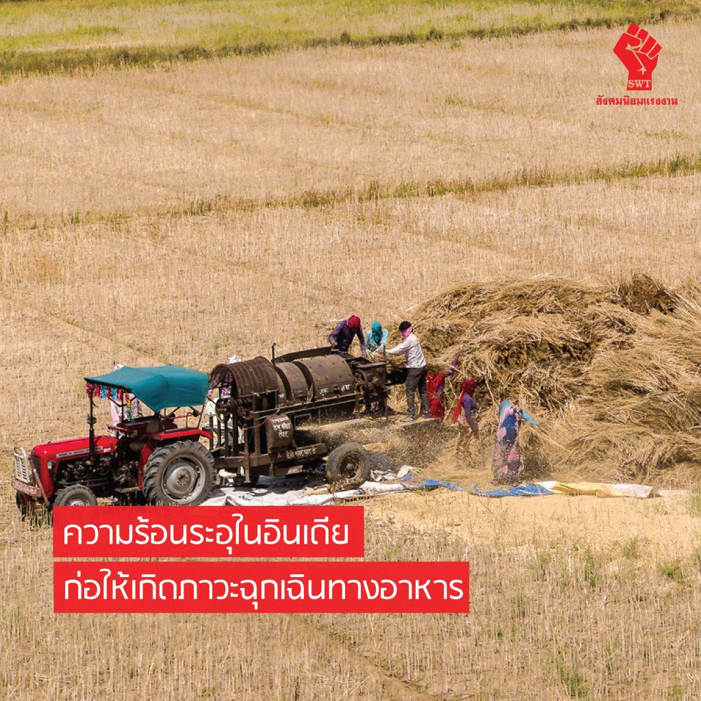 ความร้อนระอุในอินเดียก่อให้เกิดภาวะฉุกเฉินทางอาหาร