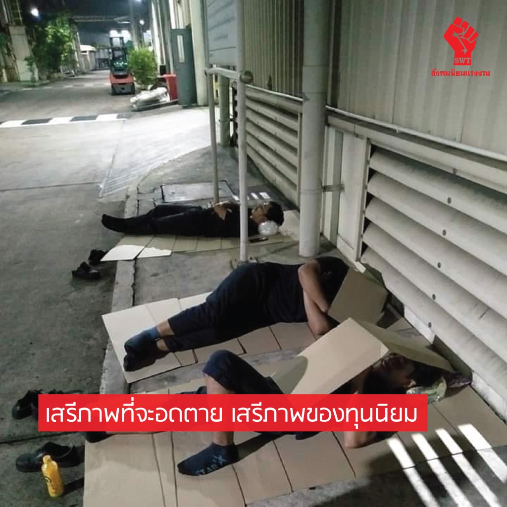 เสรีภาพที่จะอดตาย เสรีภาพของทุนนิยม