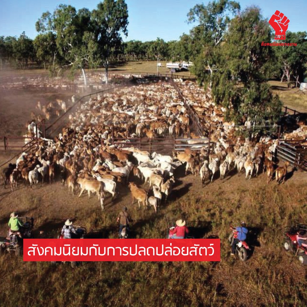 สังคมนิยมกับการปลดปล่อยสัตว์
