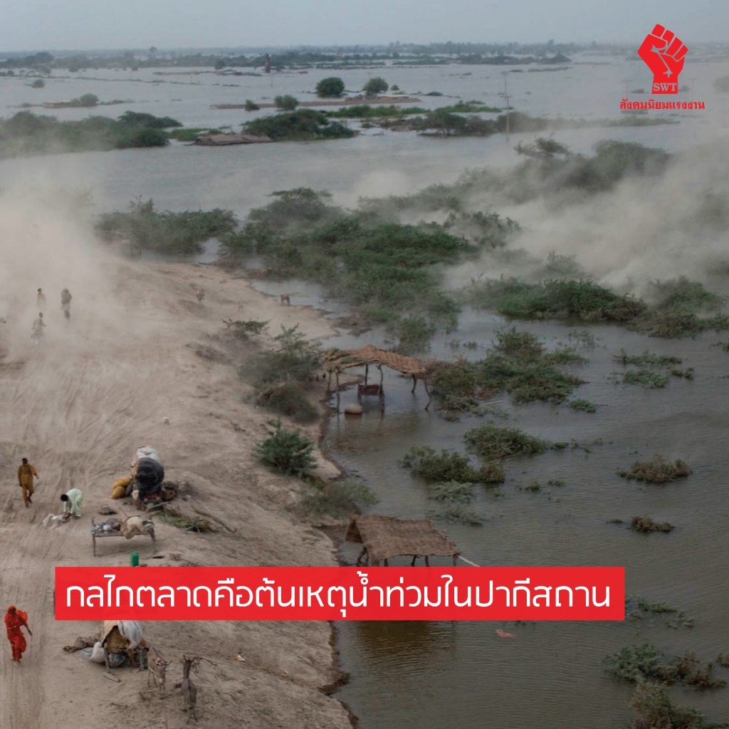 กลไกตลาดคือต้นเหตุน้ำท่วมในปากีสถาน