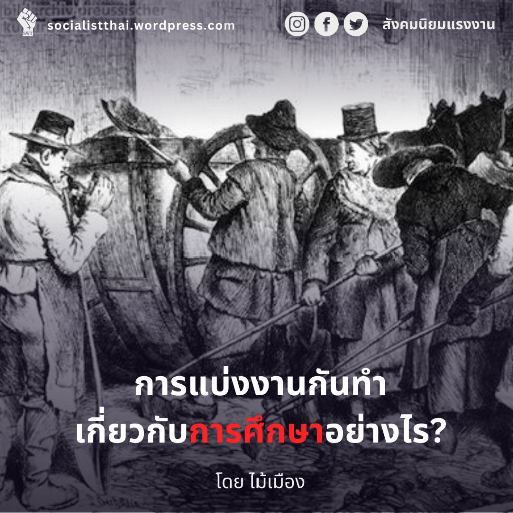 การแบ่งงานกันทำเกี่ยวกับการศึกษาอย่างไร?