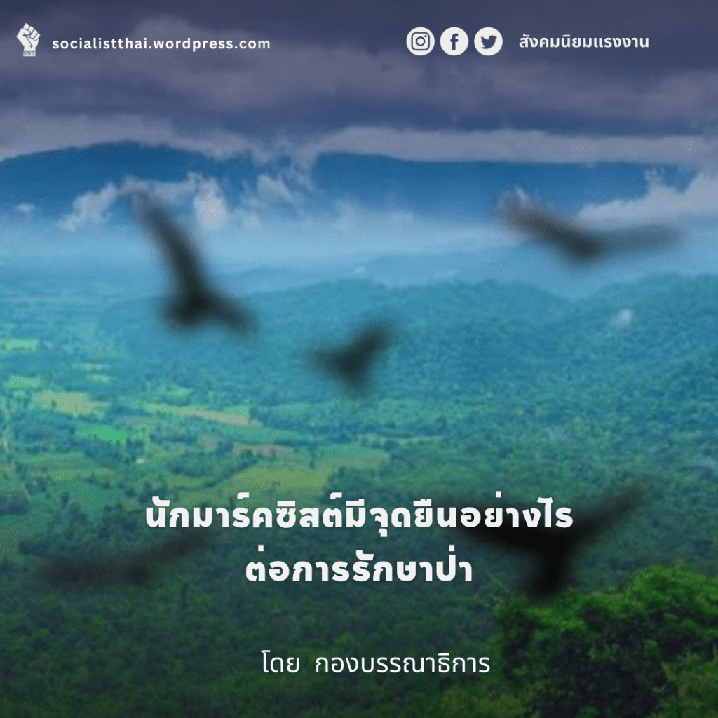 นักมาร์คซิสต์มีจุดยืนอย่างไรต่อการรักษาป่า