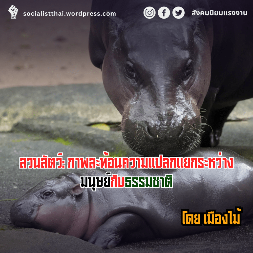 สวนสัตว์: ภาพสะท้อนความแปลกแยกระหว่างมนุษย์กับธรรมชาติ