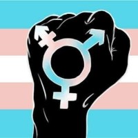 พัฒนาการของแนวเฟมินิสต์ในยุคปัจจุบัน